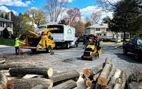 Lawn Edging in Brookhaven, PA